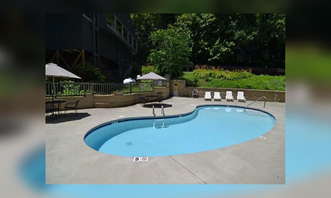 蓋特林堡Bear Creek 167别墅 外观 照片